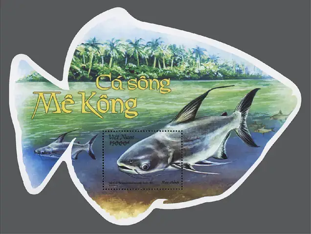 Khám Phá Đa Dạng Các Loài Cá Sông Mekong: Từ Khổng Lồ Đến Nguy Cơ Tuyệt Chủng