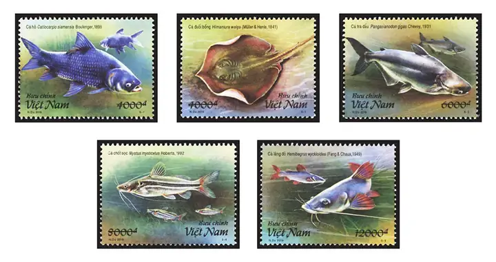 Khám Phá Đa Dạng Các Loài Cá Sông Mekong: Từ Khổng Lồ Đến Nguy Cơ Tuyệt Chủng