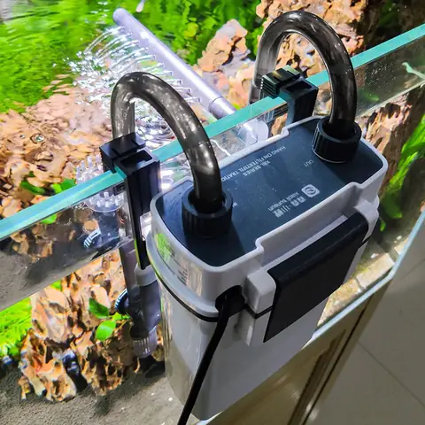 Top 5+ Loại Lọc Hồ Cá Phổ Biến: Lựa Chọn Nào Tốt Nhất Cho Bể Của Bạn?