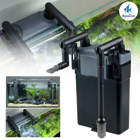 Top 5+ Loại Lọc Hồ Cá Phổ Biến: Lựa Chọn Nào Tốt Nhất Cho Bể Của Bạn?