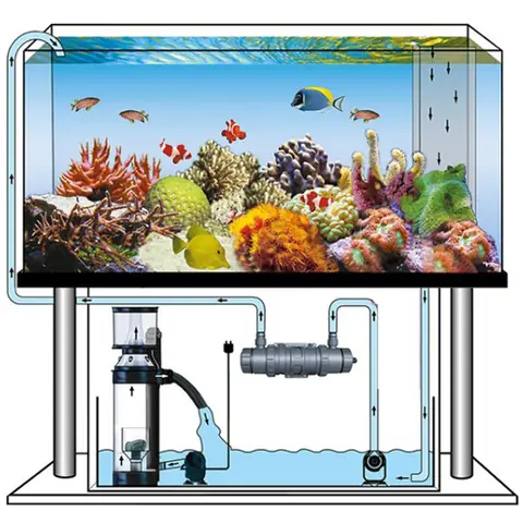 Top 5+ Loại Lọc Hồ Cá Phổ Biến: Lựa Chọn Nào Tốt Nhất Cho Bể Của Bạn?