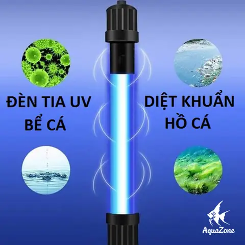 Hướng Dẫn Chi Tiết Cách Chọn Đèn Uv Cho Hồ Cá Hiệu Quả Nhất