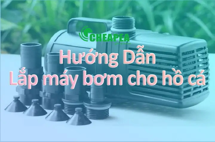 Cách Đặt Máy Bơm Bể Cá Thủy Sinh & Bể Cảnh Đúng Vị Trí, Hiệu Quả