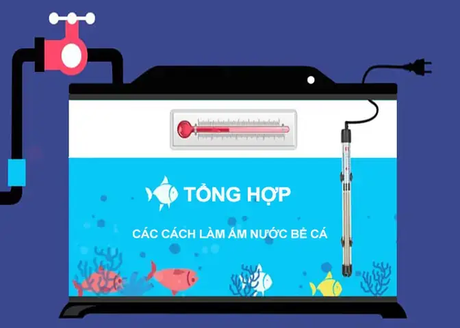 Cách Giữ Ấm Cho Cá Cảnh Hiệu Quả Vào Mùa Đông