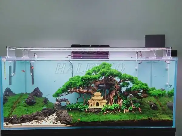 Hướng Dẫn Chi Tiết Cách Làm Đèn Led Hồ Cá Tự Chế Đơn Giản