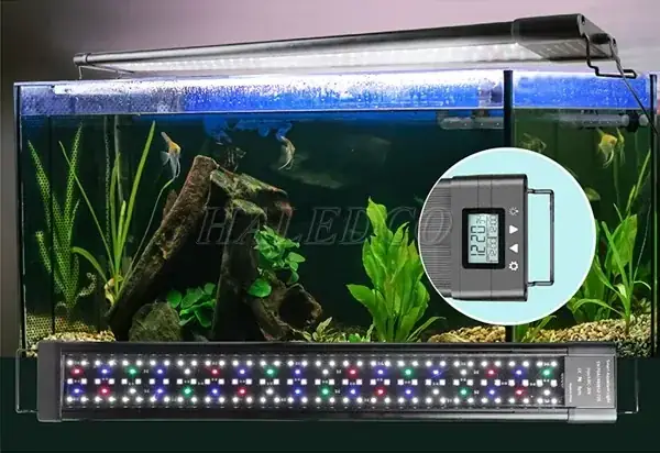Hướng Dẫn Chi Tiết Cách Làm Đèn Led Hồ Cá Tự Chế Đơn Giản