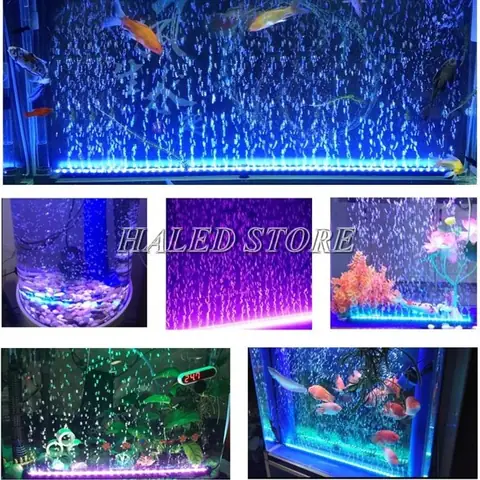 Hướng Dẫn Chi Tiết Cách Làm Đèn Led Hồ Cá Tự Chế Đơn Giản