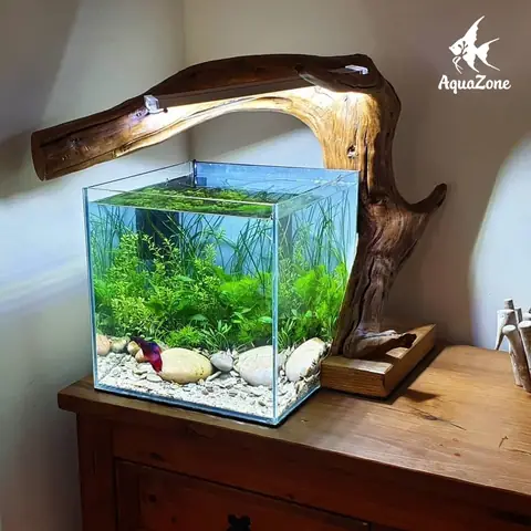 Hướng Dẫn Chi Tiết Cách Làm Hồ Cá Đẹp, Độc Đáo Tại Nhà