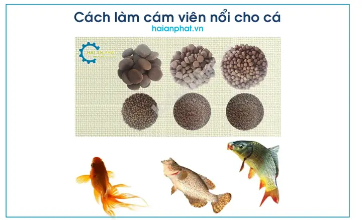 Hướng Dẫn Chi Tiết Cách Làm Thức Ăn Cho Cá Tại Nhà Đơn Giản, Tiết Kiệm