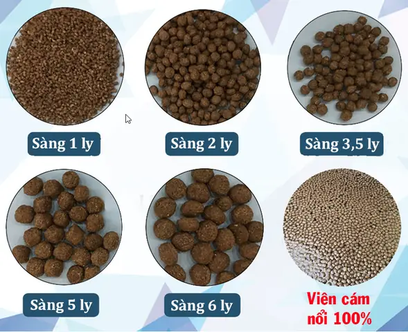 Hướng Dẫn Chi Tiết Cách Làm Thức Ăn Cho Cá Tại Nhà Đơn Giản, Tiết Kiệm