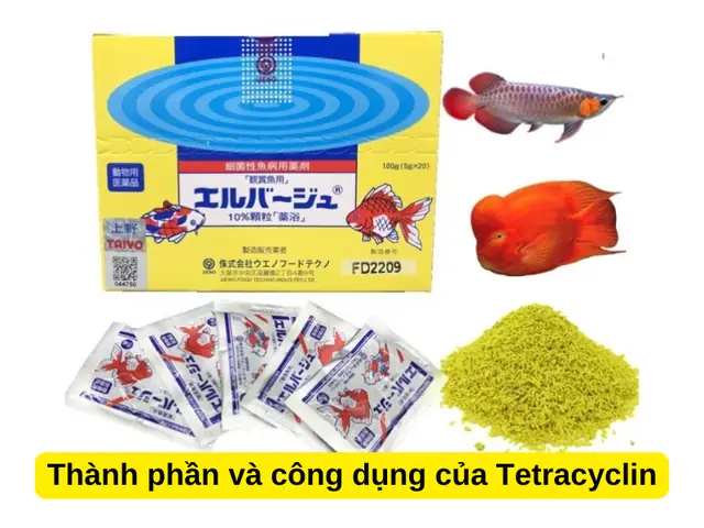 Hướng Dẫn Sử Dụng Tetracyclin Cho Cá Đúng Cách & An Toàn Hướng Dẫn Sử Dụng Tetracyclin Cho Cá Đúng Cách & An Toàn