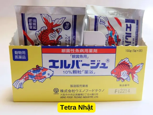 Hướng Dẫn Sử Dụng Tetracyclin Cho Cá Đúng Cách & An Toàn Hướng Dẫn Sử Dụng Tetracyclin Cho Cá Đúng Cách & An Toàn
