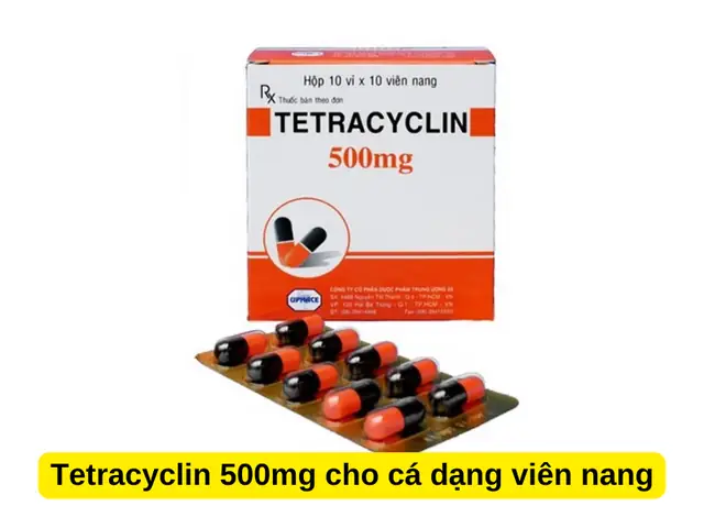 Hướng Dẫn Sử Dụng Tetracyclin Cho Cá Đúng Cách & An Toàn Hướng Dẫn Sử Dụng Tetracyclin Cho Cá Đúng Cách & An Toàn