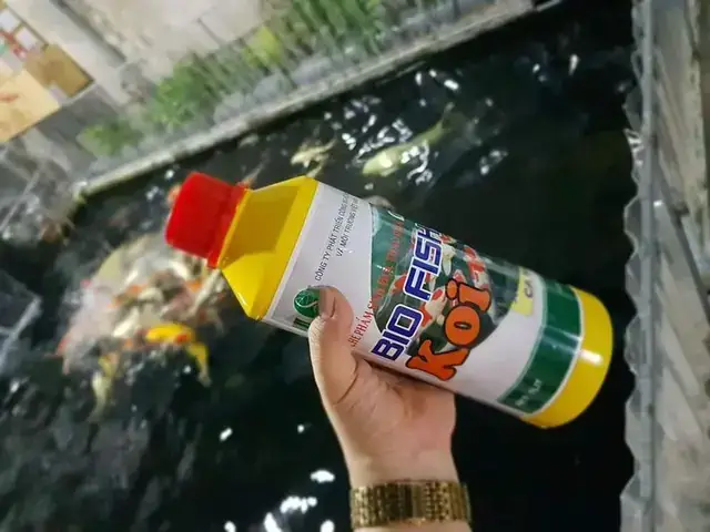 Cách Tạo Rêu Tự Nhiên Cho Bể Cá Thủy Sinh Đẹp & Sinh Động