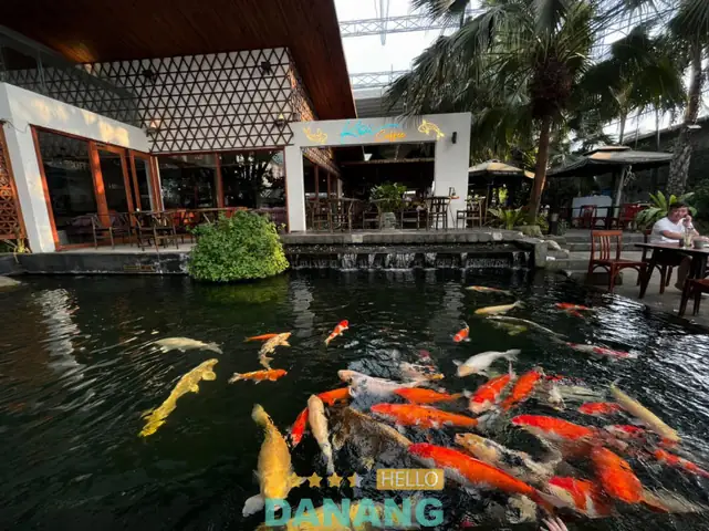 Top 10 Quán Cafe Cá Koi Đẹp Nhất Đà Nẵng: Trải Nghiệm Thư Giãn Tuyệt Vời
