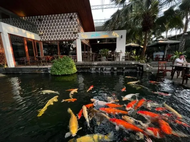 Top 15 Quán Cafe Cá Koi Đẹp, Sang Trọng Bậc Nhất Hà Nội 2024