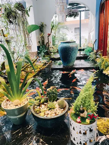 Top 15 Quán Cafe Cá Koi Đẹp, Sang Trọng Bậc Nhất Hà Nội 2024
