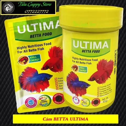 Cá Betta Ăn Gì? Hướng Dẫn Chọn Cám Dinh Dưỡng, Lên Màu Đẹp Cá Betta Ăn Gì? Hướng Dẫn Chọn Cám Dinh Dưỡng, Lên Màu Đẹp
