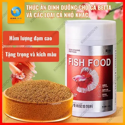 Cá Betta Ăn Gì? Hướng Dẫn Chọn Cám Dinh Dưỡng, Lên Màu Đẹp Cá Betta Ăn Gì? Hướng Dẫn Chọn Cám Dinh Dưỡng, Lên Màu Đẹp