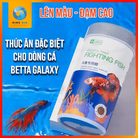 Cá Betta Ăn Gì? Hướng Dẫn Chọn Cám Dinh Dưỡng, Lên Màu Đẹp Cá Betta Ăn Gì? Hướng Dẫn Chọn Cám Dinh Dưỡng, Lên Màu Đẹp
