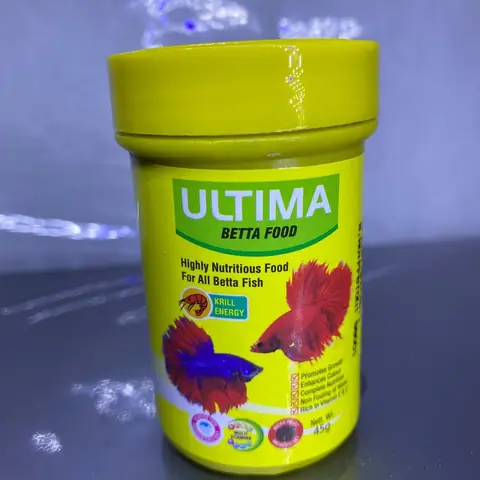 Cá Betta Ăn Gì? Hướng Dẫn Chọn Cám Dinh Dưỡng, Lên Màu Đẹp Cá Betta Ăn Gì? Hướng Dẫn Chọn Cám Dinh Dưỡng, Lên Màu Đẹp