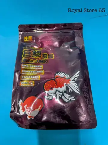 Cám Cá Ranchu: Chọn Loại Nào Tốt Nhất Giúp Cá Mau Lớn, Lên Màu, Lên Đầu?