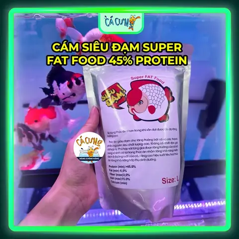Cám Cá Ranchu: Chọn Loại Nào Tốt Nhất Giúp Cá Mau Lớn, Lên Màu, Lên Đầu?
