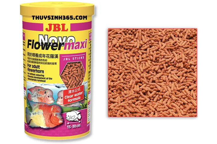 Cám Jbl Cho Cá La Hán: Chọn Loại Nào Tốt Nhất Để Lên Màu & Đầu?