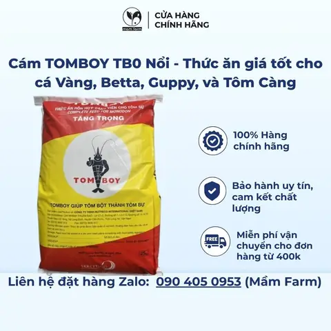 Cám Tomboy Cho Cá Vàng: Chọn Loại Nào Tốt Nhất, Giá Bao Nhiêu Và Cách Sử Dụng Hiệu Quả