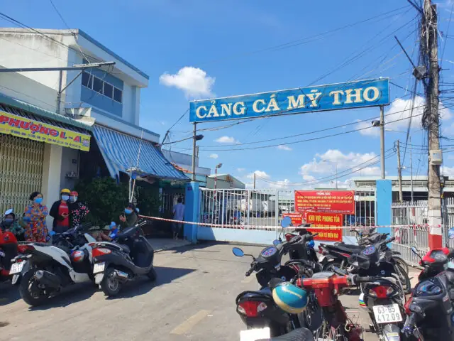 Cảng Cá Mỹ Tho: Khám Phá Chợ Cá Sôi Động Và Thông Tin Chi Tiết Tại Tiền Giang