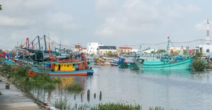 Cảng Trần Đề: Thông Tin Chi Tiết Về Bến Tàu Cao Tốc Đi Côn Đảo & Vị Trí