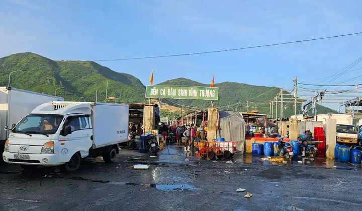 Cảng Cá Vĩnh Trường Nha Trang: Thông Tin Chi Tiết & Trải Nghiệm Du Lịch