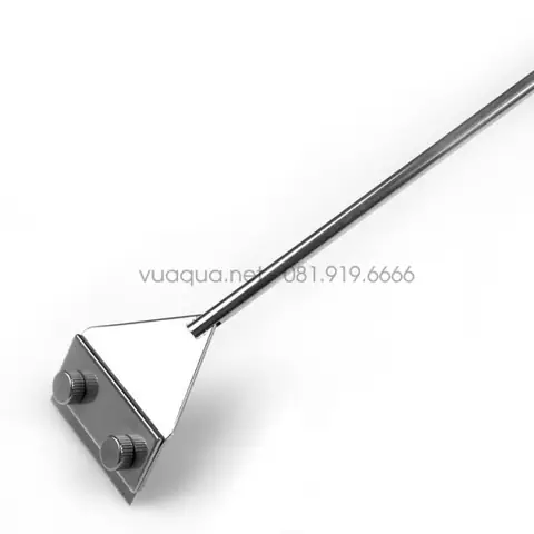 Cạo Rêu Bể Cá Đúng Cách: Hướng Dẫn Chi Tiết & Chọn Dụng Cụ Hiệu Quả