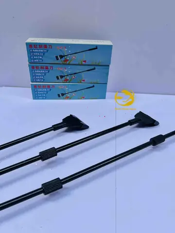 Cạo Rêu Bể Cá Đúng Cách: Hướng Dẫn Chi Tiết & Chọn Dụng Cụ Hiệu Quả