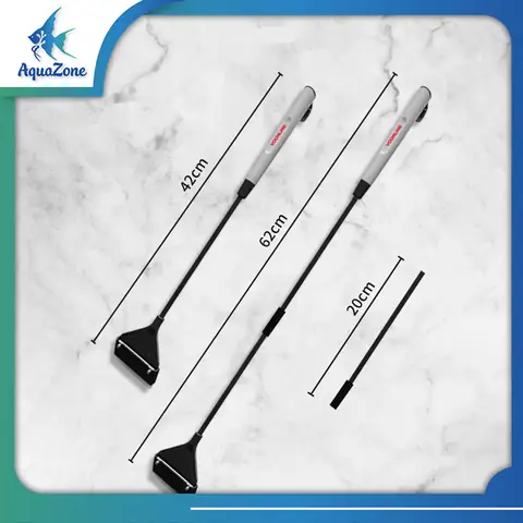 Cạo Rêu Bể Cá Đúng Cách: Hướng Dẫn Chi Tiết & Chọn Dụng Cụ Hiệu Quả