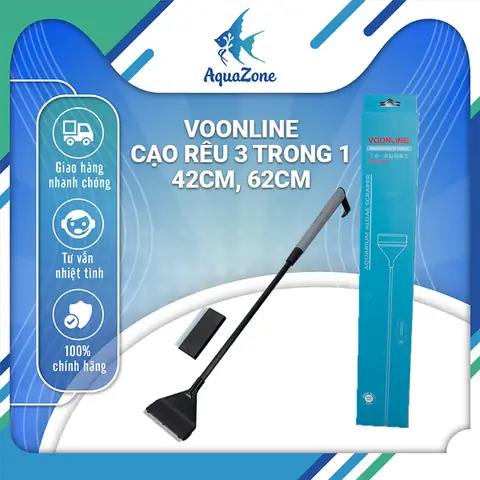 Cạo Rêu Bể Cá Đúng Cách: Hướng Dẫn Chi Tiết & Chọn Dụng Cụ Hiệu Quả