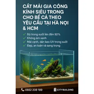 Dịch Vụ Cắt Kính Bể Cá Theo Yêu Cầu: Giá, Kích Thước & Tư Vấn Chi Tiết Dịch Vụ Cắt Kính Bể Cá Theo Yêu Cầu: Giá, Kích Thước & Tư Vấn Chi Tiết