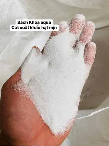 Cát Trắng Bể Cá: Hướng Dẫn Chọn, Sử Dụng & Lợi Ích Cho Hồ Thủy Sinh Cát Trắng Bể Cá: Hướng Dẫn Chọn, Sử Dụng & Lợi Ích Cho Hồ Thủy Sinh