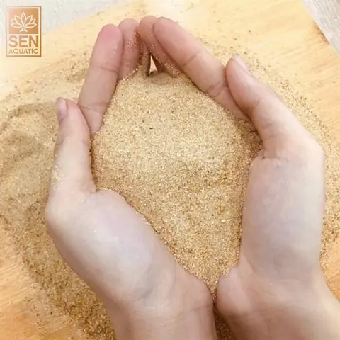 Cát Vàng Cho Bể Cá: Chọn Loại Nào Tốt, Hướng Dẫn Sử Dụng & Vệ Sinh Cát Vàng Cho Bể Cá: Chọn Loại Nào Tốt, Hướng Dẫn Sử Dụng & Vệ Sinh