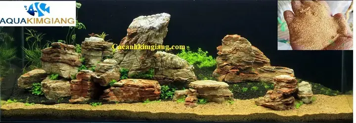 Cát Vàng Cho Bể Cá: Chọn Loại Nào Tốt, Hướng Dẫn Sử Dụng & Vệ Sinh Cát Vàng Cho Bể Cá: Chọn Loại Nào Tốt, Hướng Dẫn Sử Dụng & Vệ Sinh