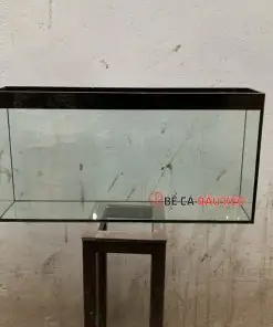 Cấu Tạo Bể Cá Treo Tường: Hiểu Rõ Để Lắp Đặt & Bảo Trì Hiệu Quả