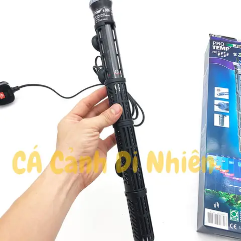 Hướng Dẫn Chọn & Sử Dụng Sưởi Hồ Cá Rồng Đúng Cách, An Toàn Hướng Dẫn Chọn & Sử Dụng Sưởi Hồ Cá Rồng Đúng Cách, An Toàn