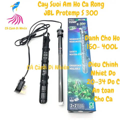 Hướng Dẫn Chọn & Sử Dụng Sưởi Hồ Cá Rồng Đúng Cách, An Toàn Hướng Dẫn Chọn & Sử Dụng Sưởi Hồ Cá Rồng Đúng Cách, An Toàn