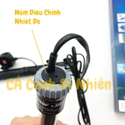 Hướng Dẫn Chọn & Sử Dụng Sưởi Hồ Cá Rồng Đúng Cách, An Toàn Hướng Dẫn Chọn & Sử Dụng Sưởi Hồ Cá Rồng Đúng Cách, An Toàn