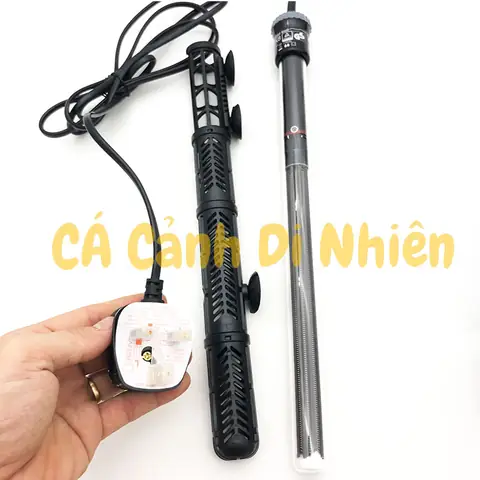 Hướng Dẫn Chọn & Sử Dụng Sưởi Hồ Cá Rồng Đúng Cách, An Toàn Hướng Dẫn Chọn & Sử Dụng Sưởi Hồ Cá Rồng Đúng Cách, An Toàn