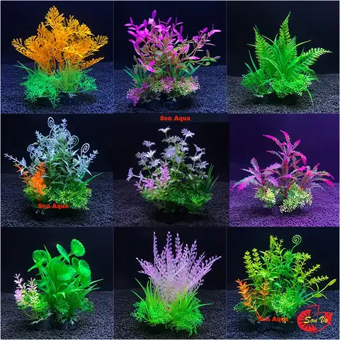 Top 10+ Cây Thủy Sinh Đẹp, Dễ Trồng Cho Bể Cá Cảnh (cập Nhật Mới Nhất)