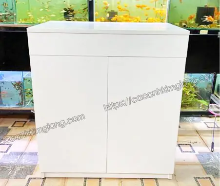Chân Bể Cá Gỗ Công Nghiệp: Chọn Mẫu Đẹp, Bền & Kích Thước Phù Hợp