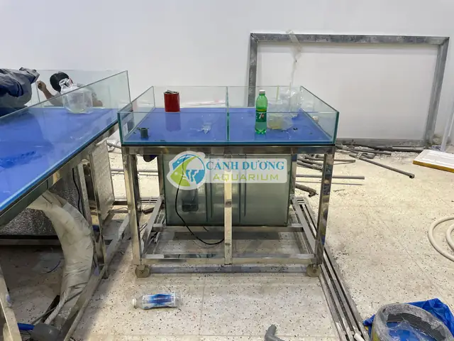 Chân Hồ Cá 1m: Lựa Chọn, Báo Giá & Hướng Dẫn Mua Bán