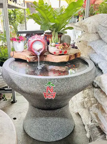 Chậu Cá Cảnh Ngoài Trời: Hướng Dẫn Chọn Lọc, Lắp Đặt & Chăm Sóc Hoàn Hảo