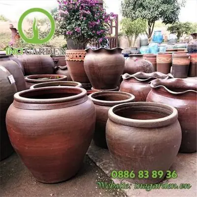 Chậu Đất Nuôi Cá: Lợi Ích, Cách Chọn Và Hướng Dẫn Sử Dụng Chi Tiết